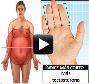 Testosterona y carbohidratos