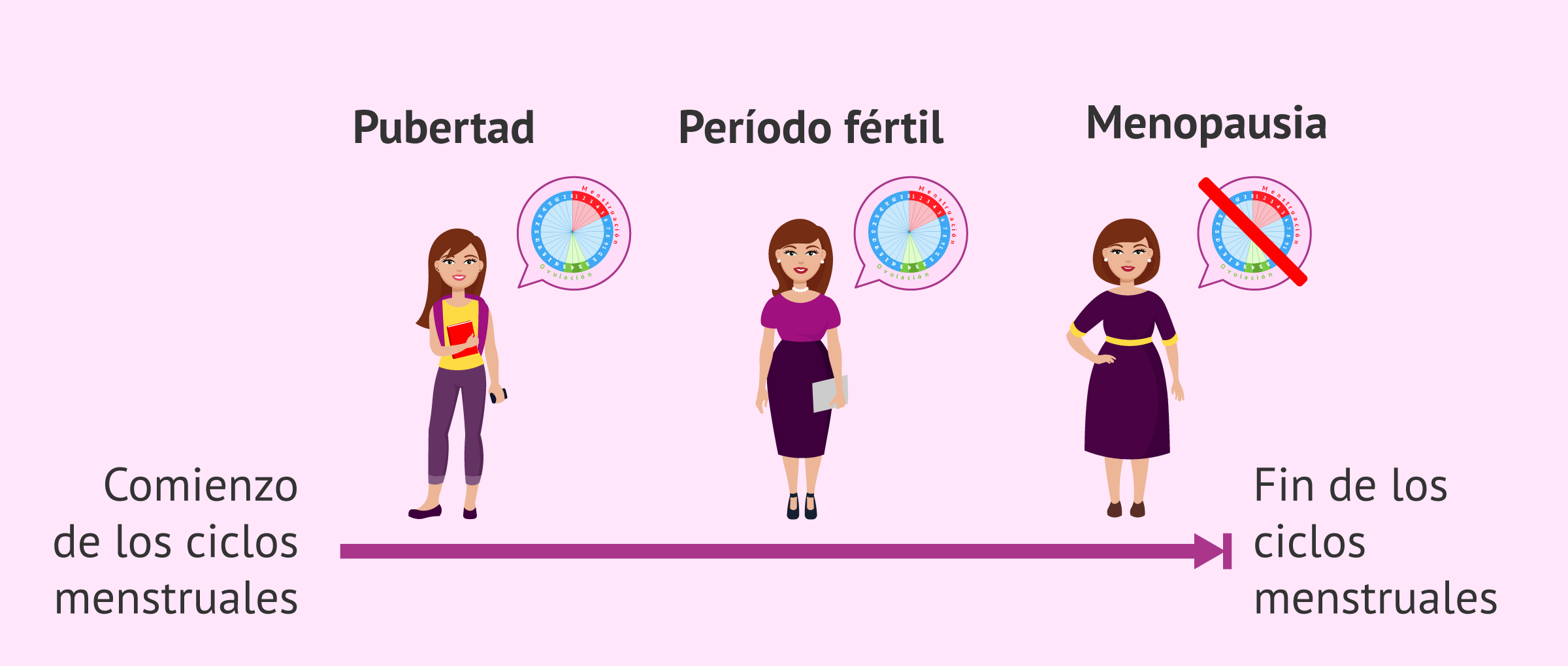 Torpe despreciar Barrio bajo Los 4 'días fértiles' y no fértiles (calculadora de ovulación)
