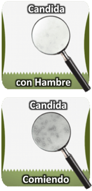 tratamiento de la candidiasis