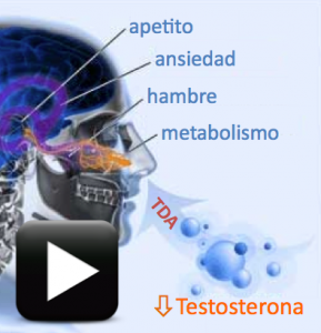 Testosterona