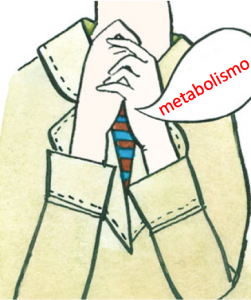 metabolismo